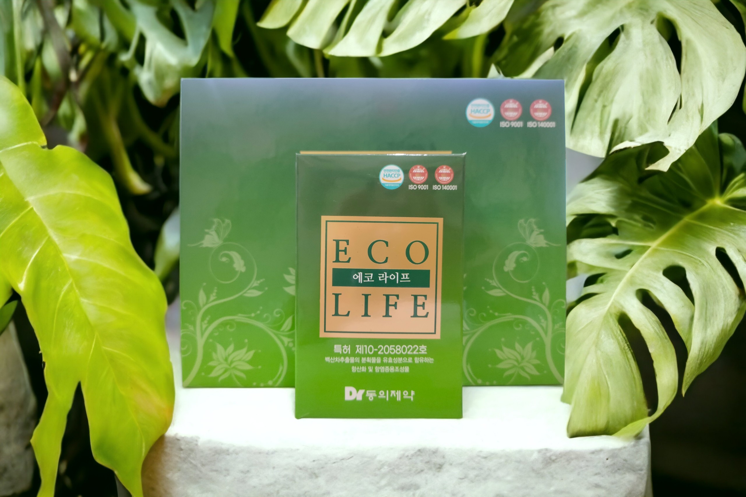 ecolife2